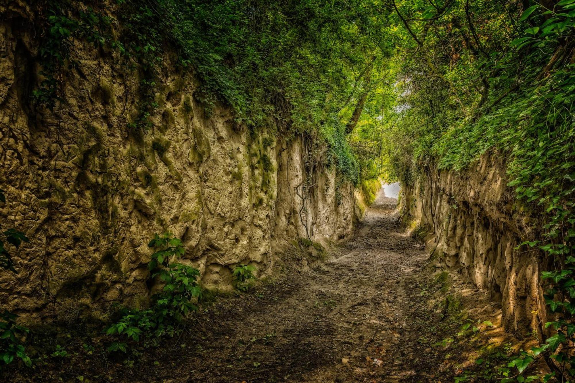 Dreilaendereck Am Kaiserstuhl Wasenweiler Extérieur photo