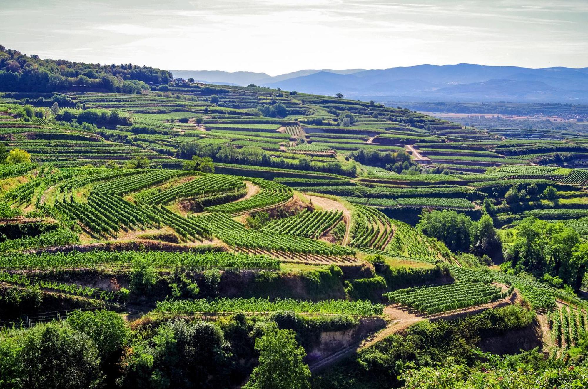Dreilaendereck Am Kaiserstuhl Wasenweiler Extérieur photo